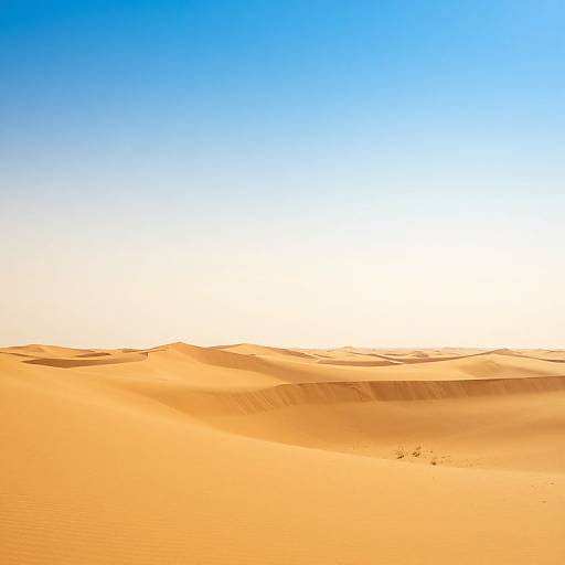 Photograph of a vast, sunlit desert with undulating sand dunes under a clear blue sky, transitioning to white near the horizon.