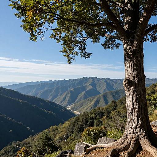 Serene Mountain Valley Landscape