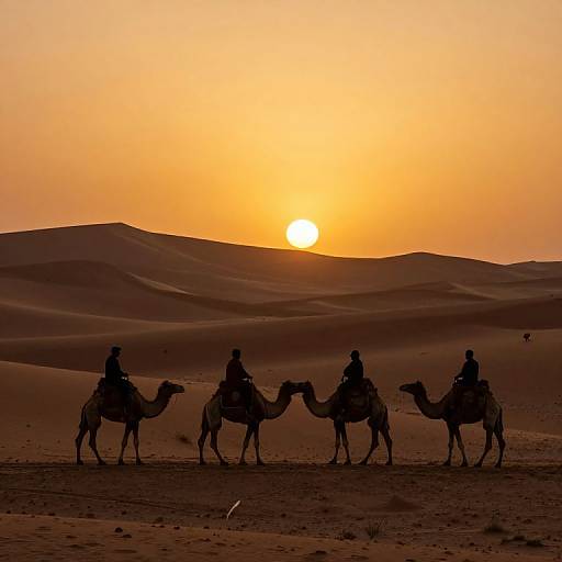 Photograph of a silhouetted desert sunset with four riders on camels, orange sky, and rolling sand dunes in the background.