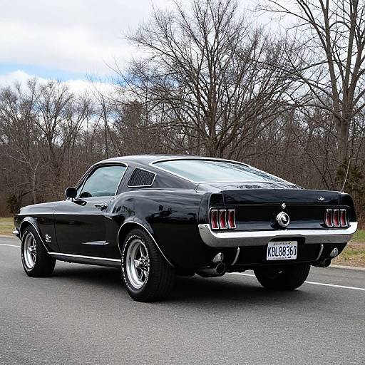 1967 Black Ford Mustang Rear View