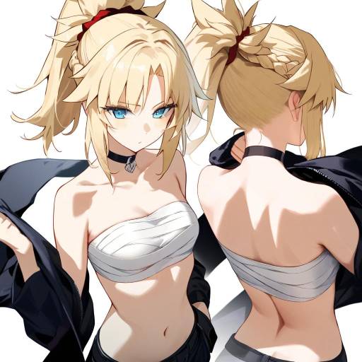 Mordred Fate: Multi-Angle Girl Portrait