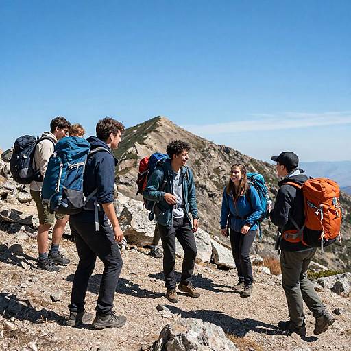 Photograph of five hikers, dressed in blue and black outdoor gear, with backpacks, standing on rocky mountain slope under clear blue sky.