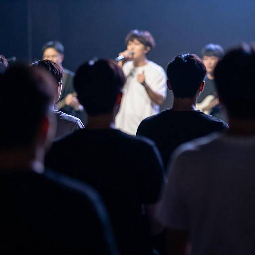 Concert Scene from Behind the Crowd