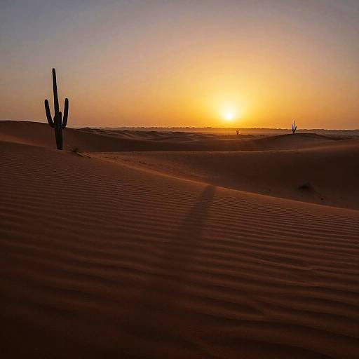 Surreal Desert Sunset Landscape