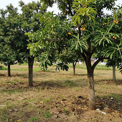 Surreal Dual-Growth Fruit Trees