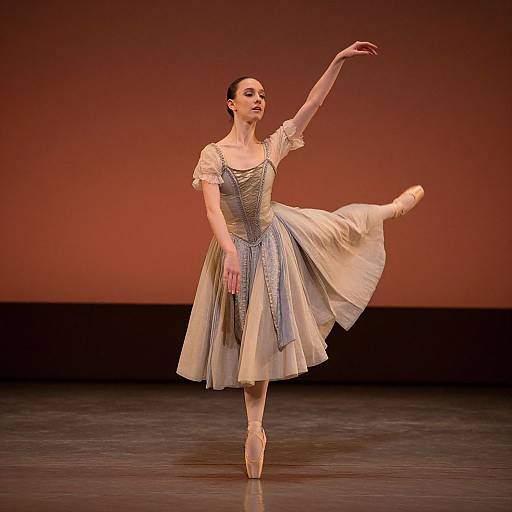 Elegant Ballet Dancer in Warm Twilight