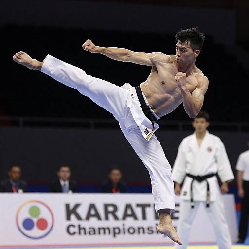 Dynamic Martial Artist Competing in Karate