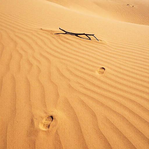 Sunlit Desert Dunes with Footprints