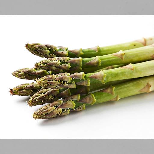 Fresh Green Asparagus Horizontal Layout