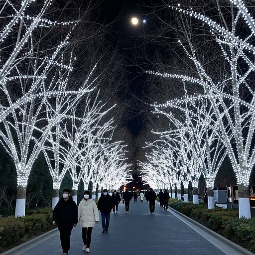 Moonlit Path with Sparkling Trees
