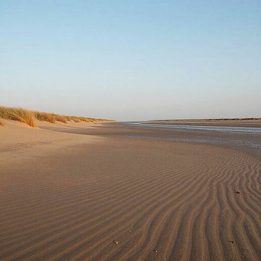Surreal Sandy Floodplains at Dusk