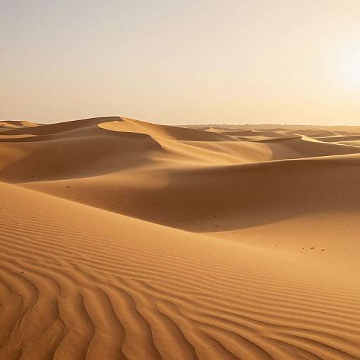 Photograph of golden desert sand dunes at sunset, with rippled sand textures, smooth curves, and warm, glowing light.