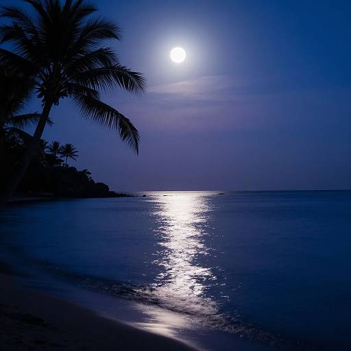 Moonlit Tropical Beach Reflection
