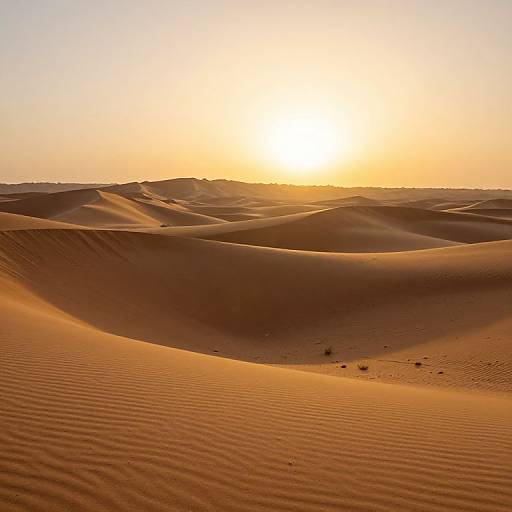 Photograph of a sunlit desert with golden sand dunes, rippled textures, and a bright, orange-yellow sunset in the clear sky.