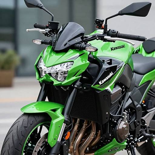 Stylish Kawasaki Z800 in Vibrant Livery