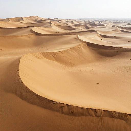 Aerial View of Desert Dunes