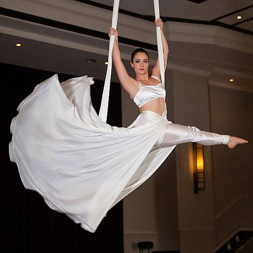 Elegant Aerial Silk Dancer Mid-Spin