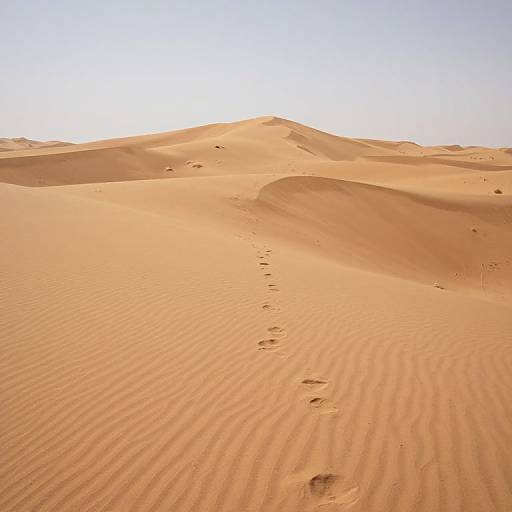 Whispering Desert of Lost Memories