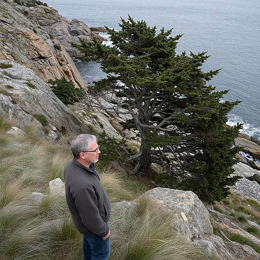 Evergreen Tree on Rocky Cliffside