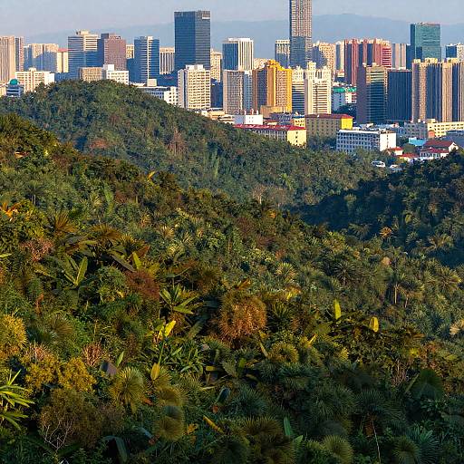 Dreamy Nature and Urban Photo Blend