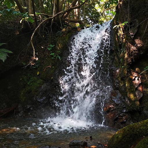 Hyper-Realistic Serene Forest Waterfall