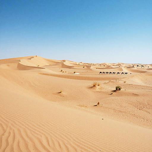 Desert Sand Dunes with Camel Caravan