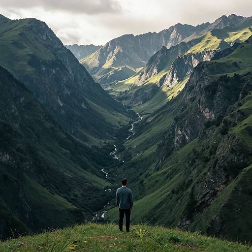 Photograph of a lone man in a blue jacket standing on a grassy hill, facing a vast, sunlit mountain valley with a winding river.