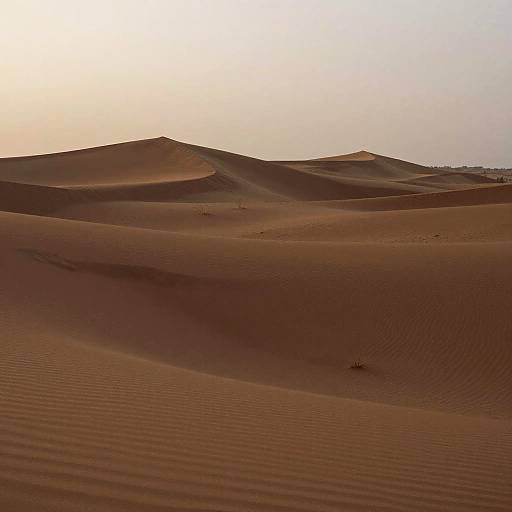 Surreal Twilight Sandy Dunes