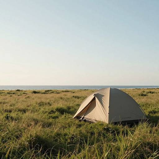 Serene Campsite in Nature's Embrace