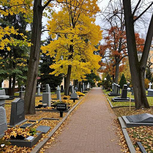 Autumn Foliage at Novodevichye Cemetery