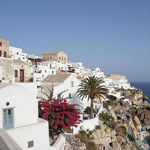 Whitewashed Cliffside Village with Bougainvillea and Palm Tree