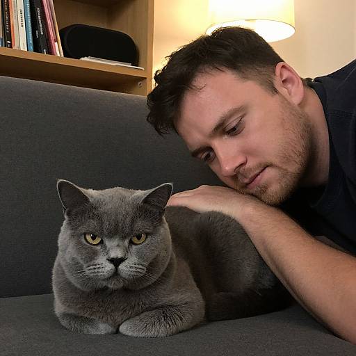 Man and Grumpy British Shorthair Cat