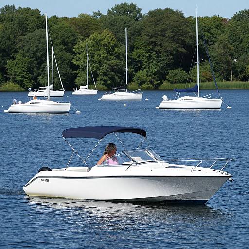 Sunny Lake Day with Boat and Sailboats
