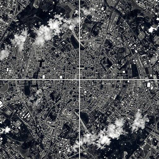 Grayscale Satellite Cityscape Quadrants
