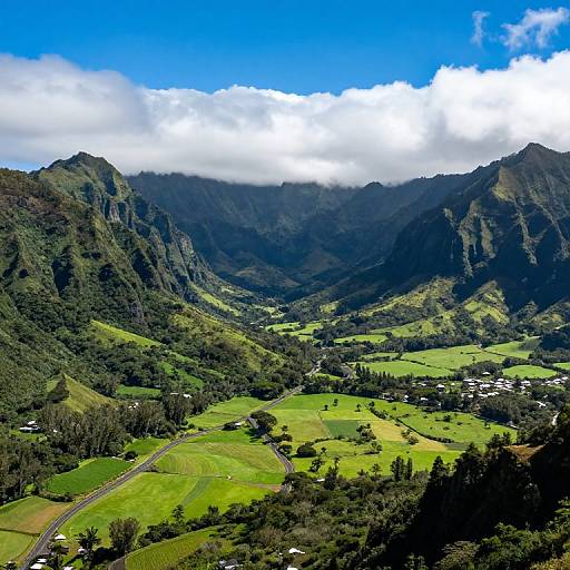 Hanalei Valley Scenic Landscape