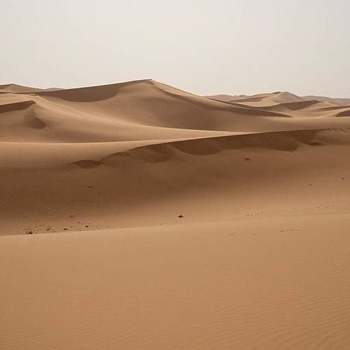 Photograph of a vast, sunlit desert with undulating sand dunes, showcasing smooth, rippled textures and warm, golden-brown hues under