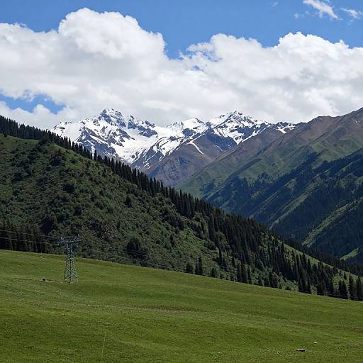 Photograph of a lush green meadow with a power line in the foreground, dense forested hills, and snow-capped mountains under a bright blue