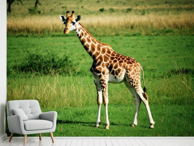 Adorable Giraffe in Grassy Landscape