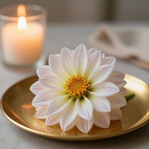 Ethereal Dahlia on Golden Plate