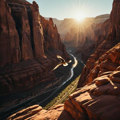 Sunlit Canyon with Peregrine Falcon in Flight Sunlit Canyon with Peregrine Falcon in Flight