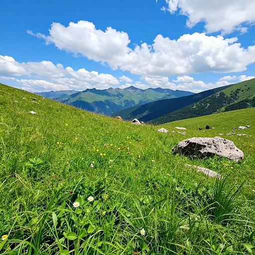 Photograph of vibrant green meadow with yellow wildflowers, scattered rocks, and distant mountain range under bright blue sky with white clouds.