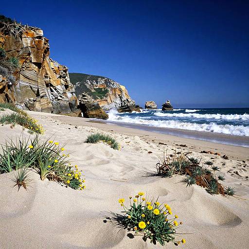 Rugged Cliffs and Vibrant Beachscape