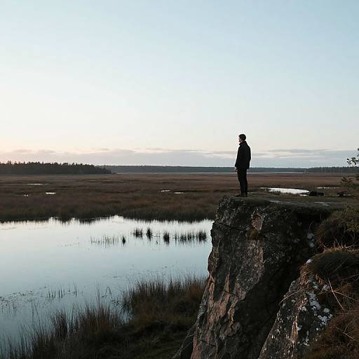 Silhouetted person stands on rocky cliff, overlooking serene wetland with reflective water and distant horizon at dawn or dusk.
