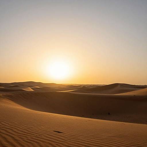 Desert Sunset of Infinite Possibility