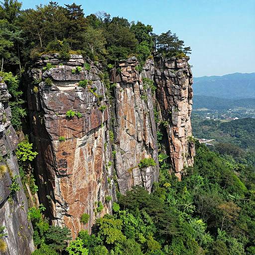 Dramatic Cliff Overlooking Forest Landscape