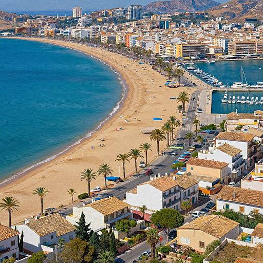 Aerial photograph of a sunlit Mediterranean beach with golden sands, clear blue water, palm trees, and adjacent coastal buildings. Boats docked at