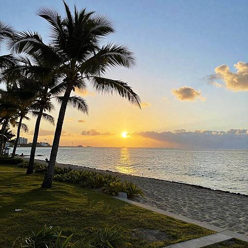 Sunrise Over Palm-Lined Miami Shores