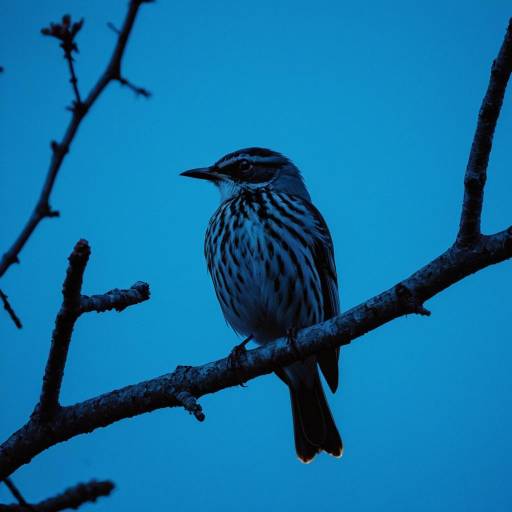 Blue Hour Bird on Branch
