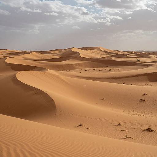 Photograph of a vast, sunlit desert landscape with flowing orange sand dunes under a partly cloudy sky. Ripples and shadows highlight the sand's