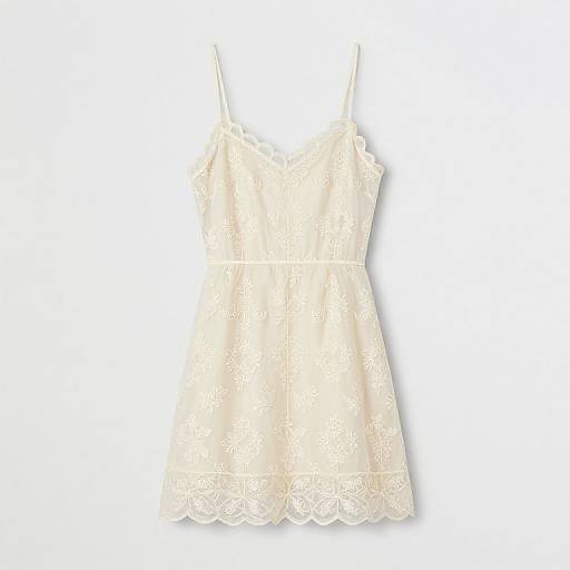 Elegant Cream Embroidered Mesh Dress